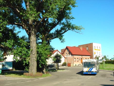 rondo autobusowe "przy krzy�u"